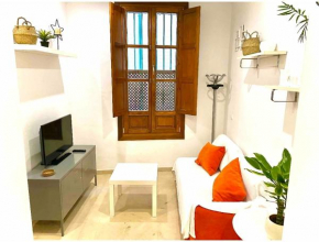 Bonito apartamento en el centro histórico